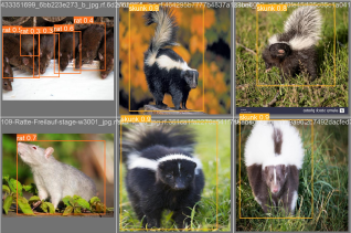 Brand Identity Project